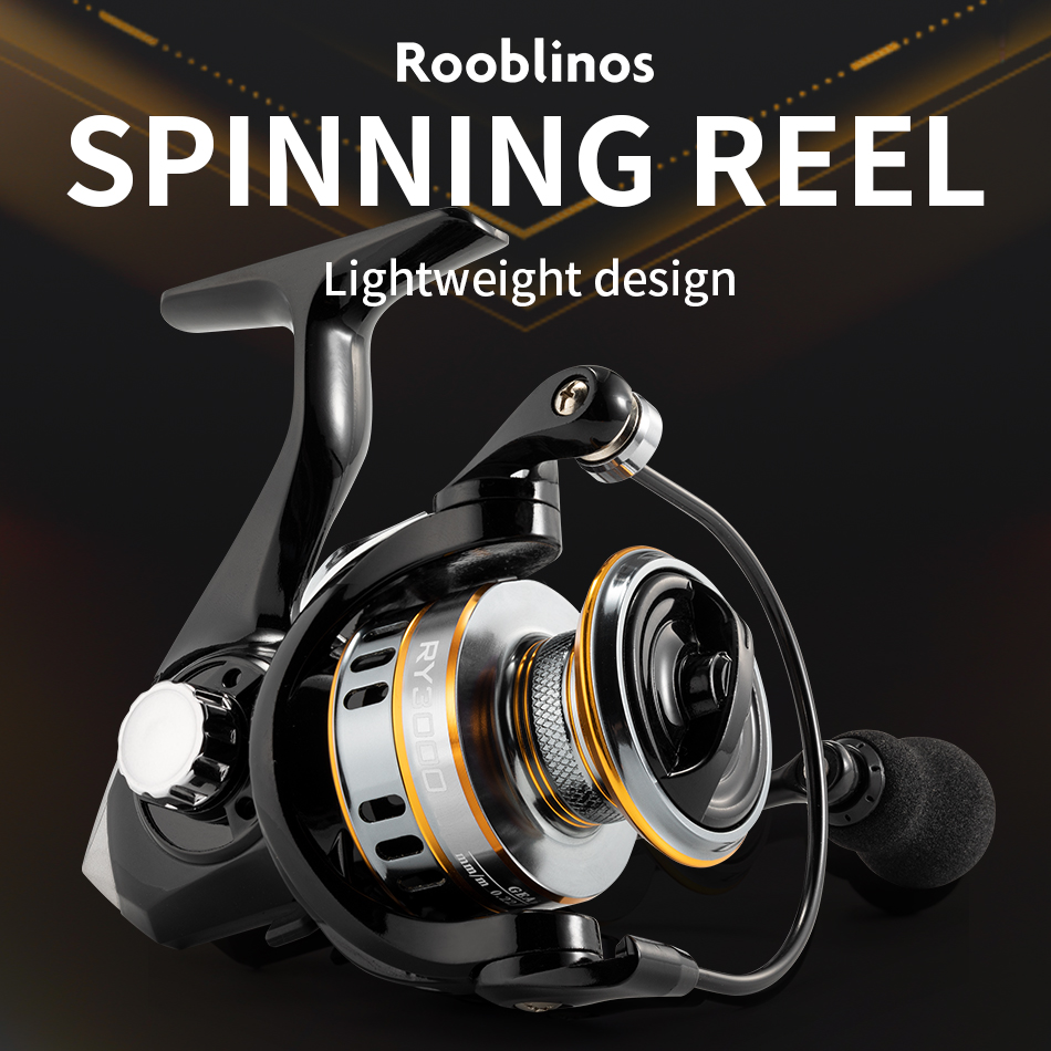 Ry Spinning Rollen Salzwasser- – Daiwa Reel Bg Bewertung und Preis